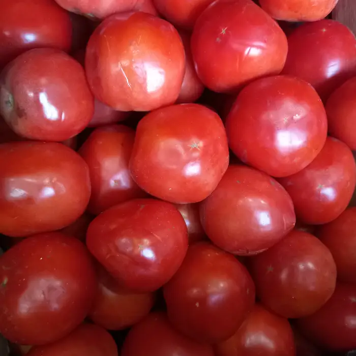 Tomate