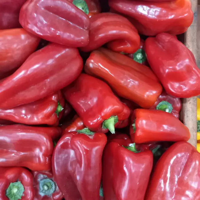 Pimiento Rojo